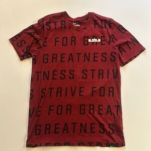 Nike Lebron James - Dri-Fit Cotton Tee - Men’s medium